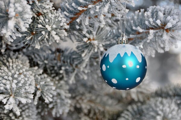 Синий новогодний шар на заснеженной ёлке