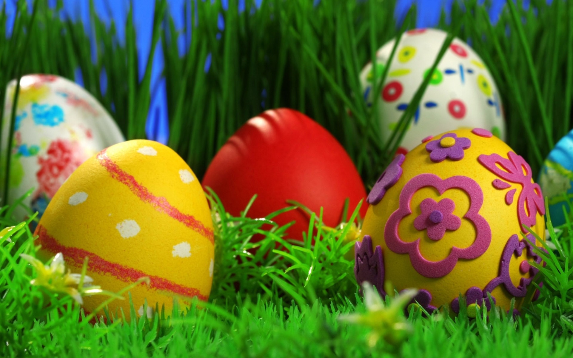 easter holiday grass easter eggs pattern