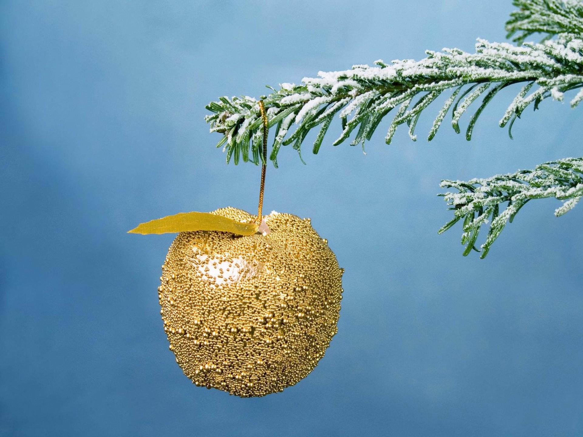 weihnachten neujahr apfel feiertag golden tanne zweig