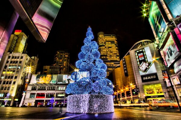 Weihnachtsbaum auf dem Platz