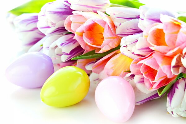 Hermosos tulipanes y huevos pintados en colores delicados