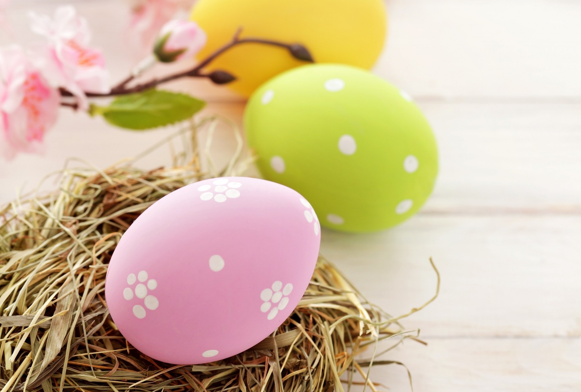 nest easter yellow pink egg