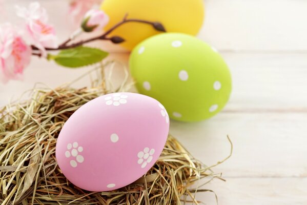 Oeufs de Pâques multicolores sur paille. Branche avec des fleurs