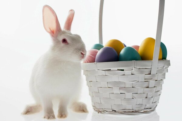 Lapin et oeufs de Pâques dans un panier