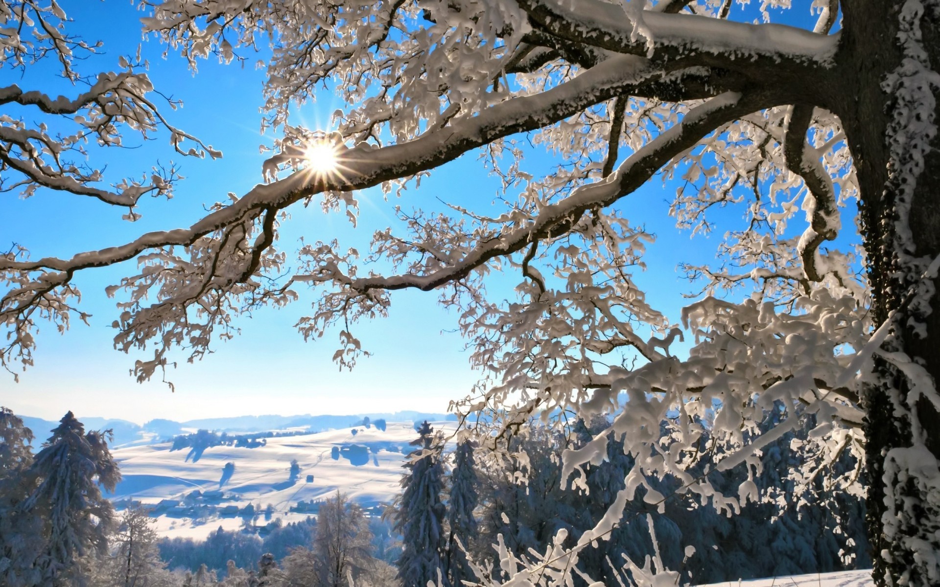 winter natur landschaften schnee neujahr