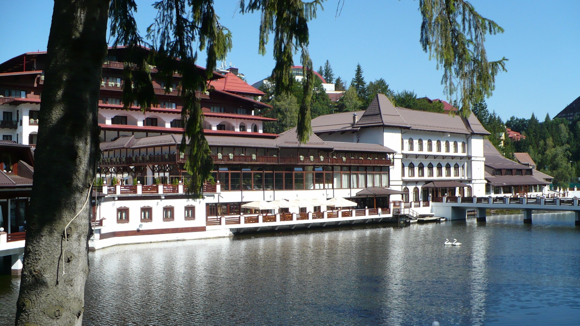 cygnes lac hôtel