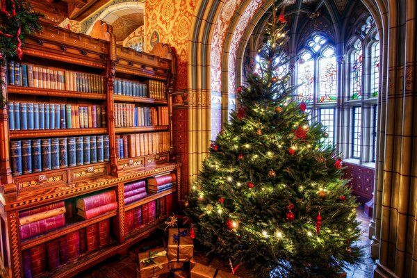 Schöner Weihnachtsbaum am Bücherregal