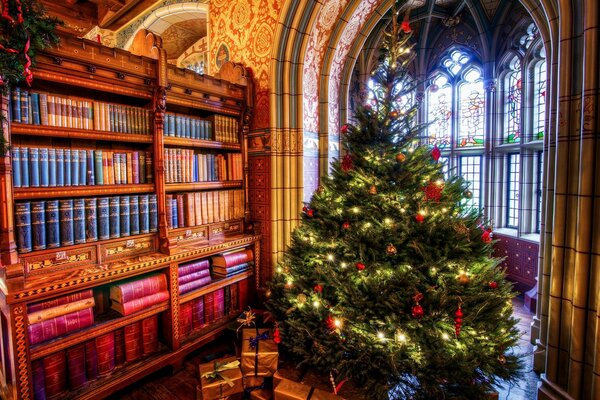 Hermoso árbol de Navidad en la librería