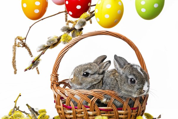 Two Easter bunnies in a basket and willow twigs