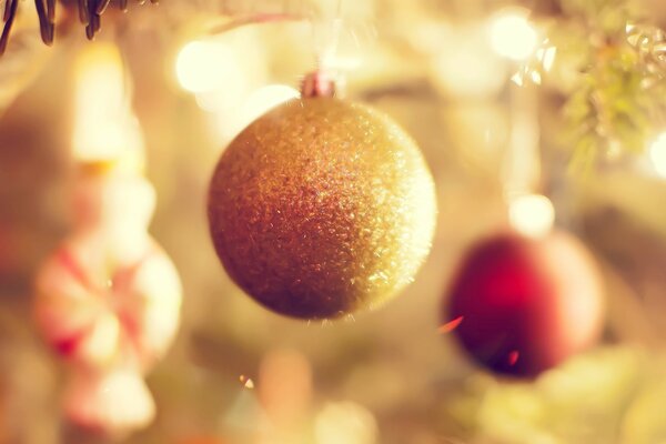A golden ball on a Christmas tree branch