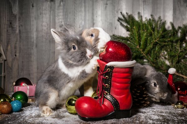 Drei Kaninchen auf einem Hintergrund von Weihnachtsspielzeug