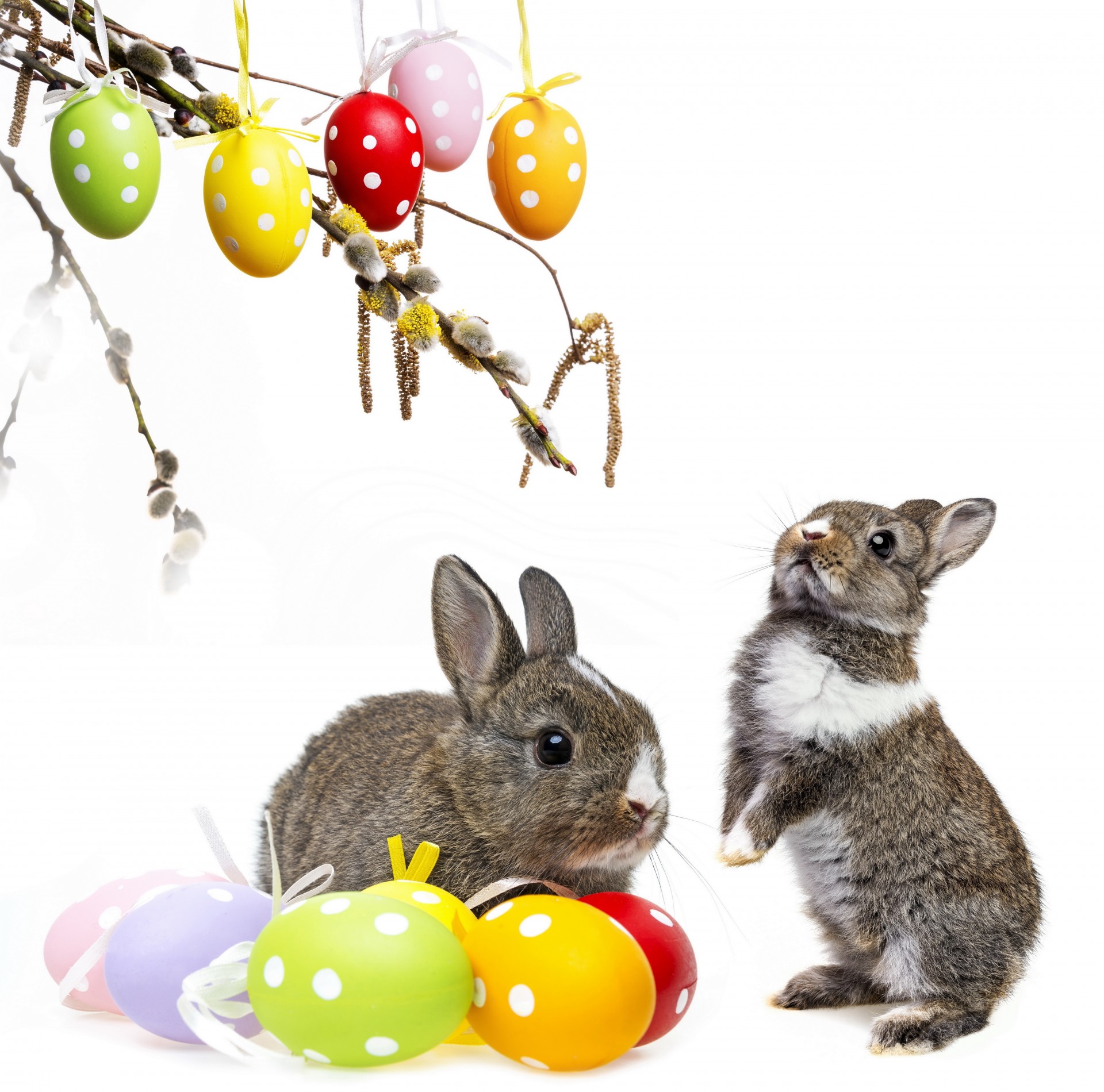 eier ostern dekoration frühling hase kaninchen blumen