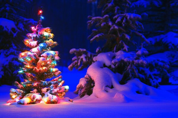 A Christmas tree decorated with lights glows in a snowy winter forest