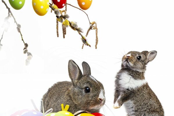 Deux lapins mignons avec des oeufs de Pâques