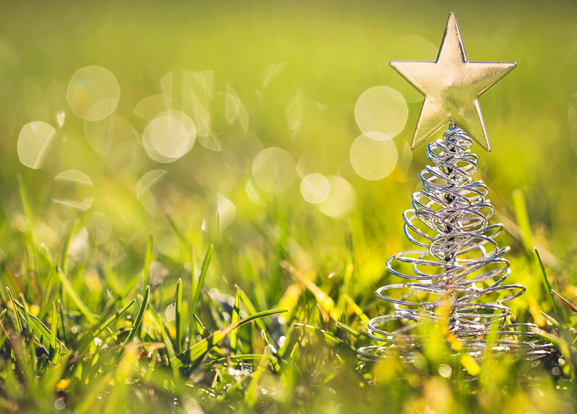 close up reflections grass star