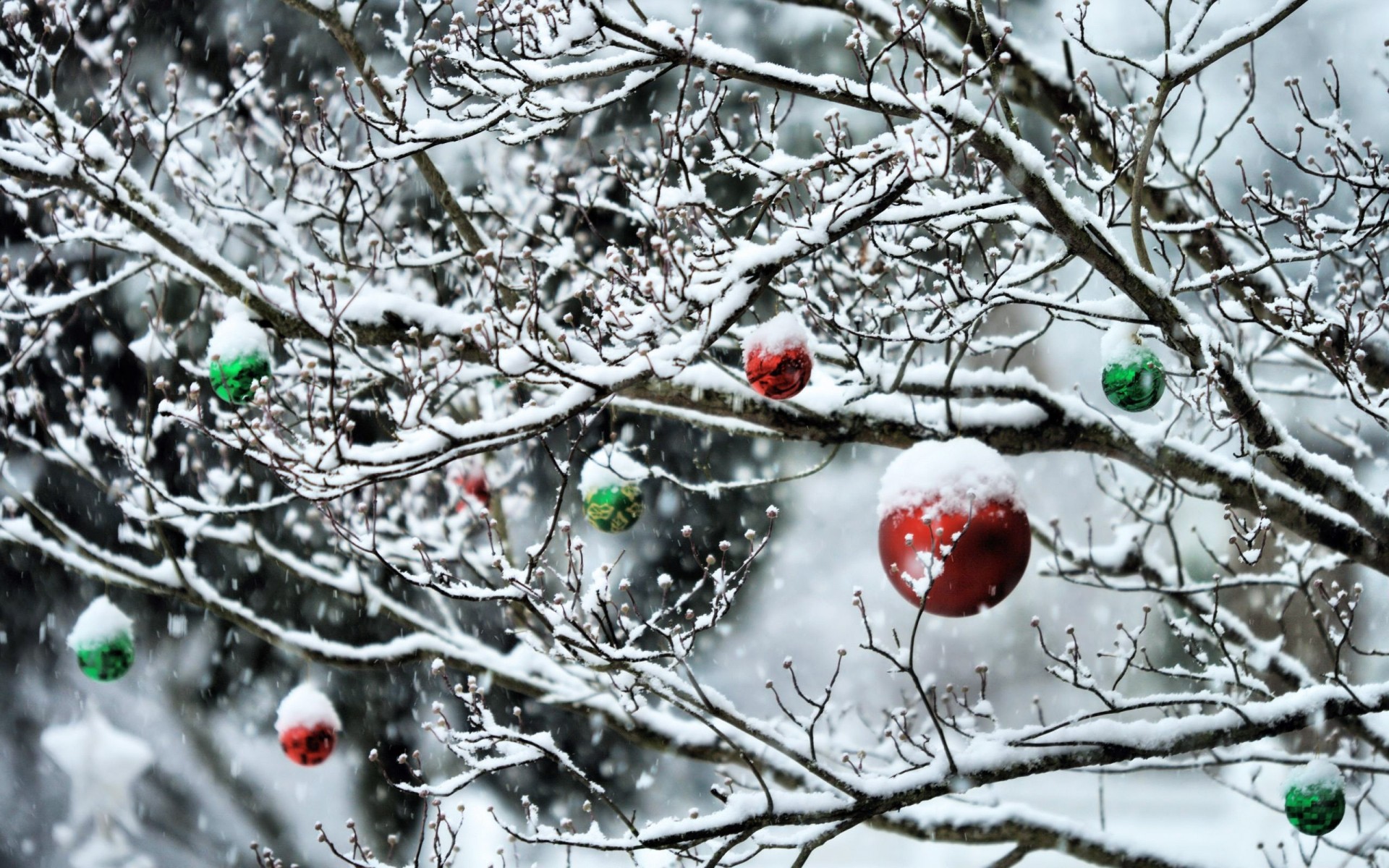 winter tree snow forest new year