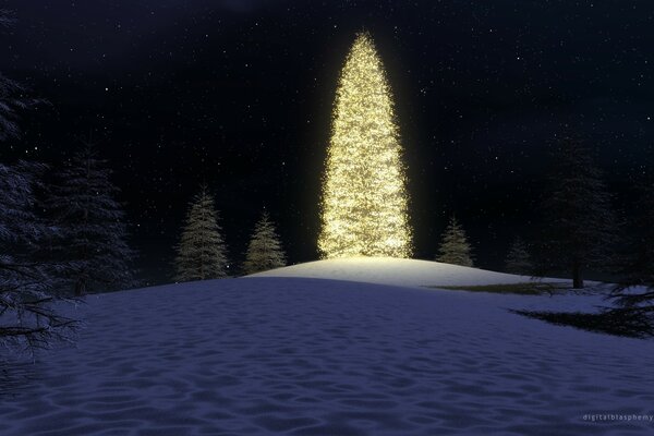 Tannenwald auf dem Hintergrund des Sternenhimmels beleuchteter Weihnachtsbaum auf einem schneebedeckten Hügel
