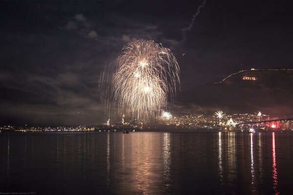 Fuochi d artificio scintillanti nel cielo notturno