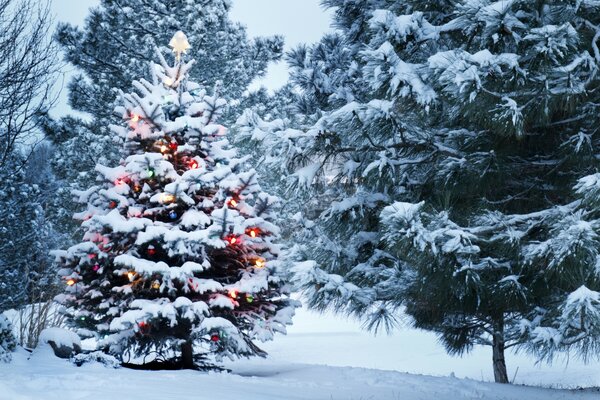 Árbol de Navidad decorado en el borde del bosque