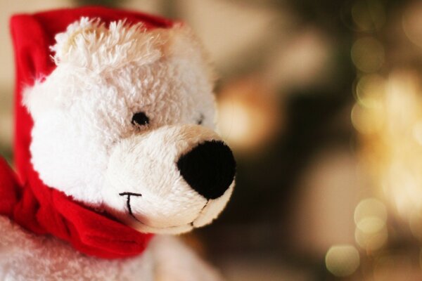 A white bear with a red scarf