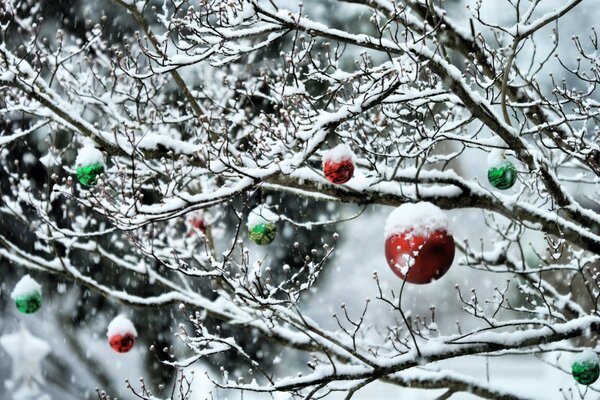 Árboles cubiertos de nieve en el bosque con bolas de Navidad