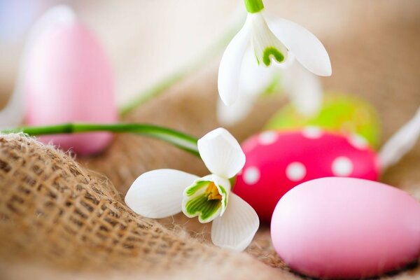 Huevos de Pascua brillantes y flores