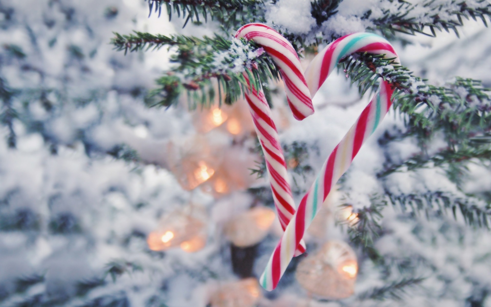 arbre de noël guirlande neige sucettes