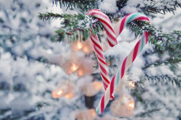 Las piruletas a rayas cuelgan del árbol de Navidad en forma de corazón