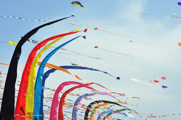 Kites in the bright blue sky