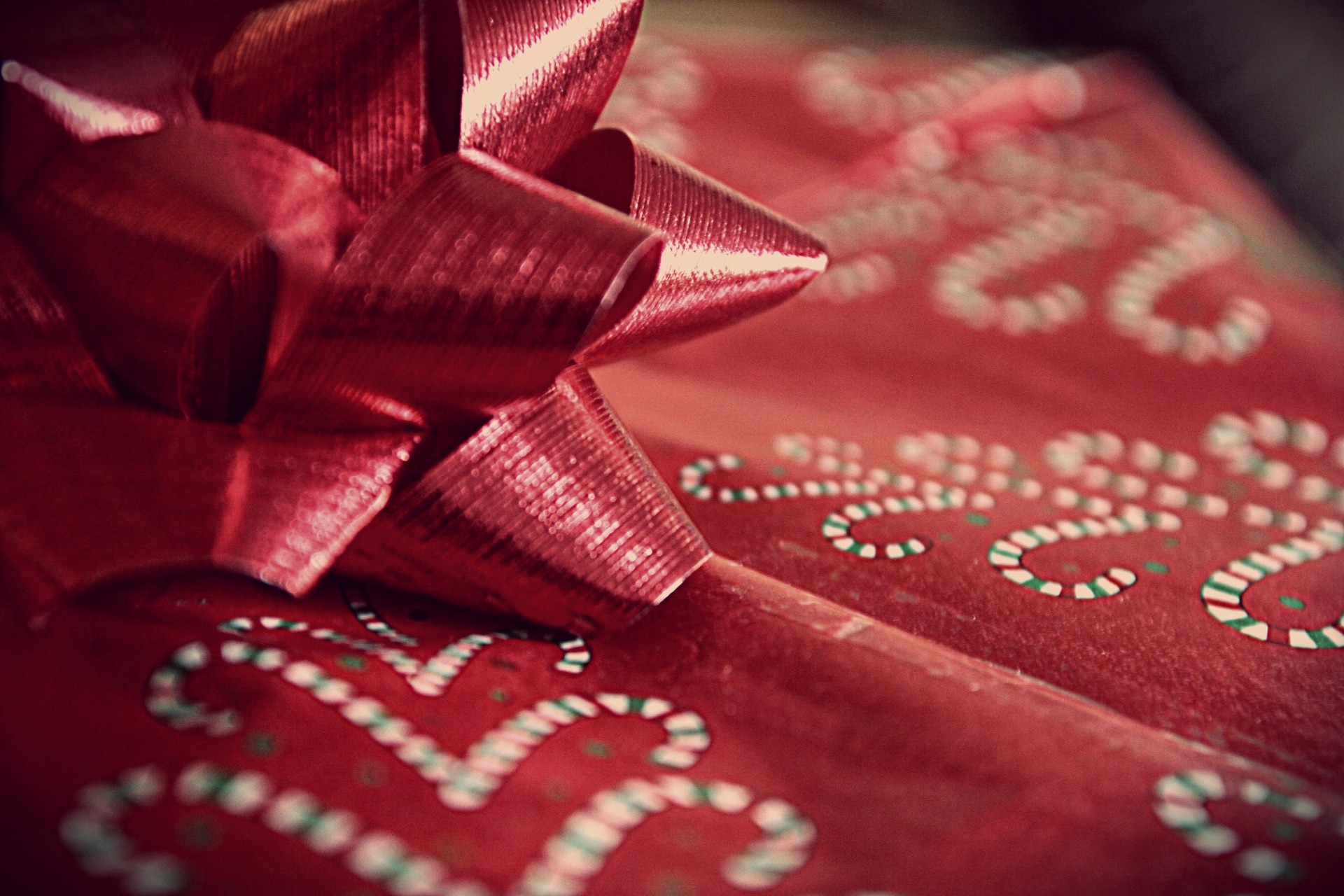 bogen rot muster verpackung makro geschenk