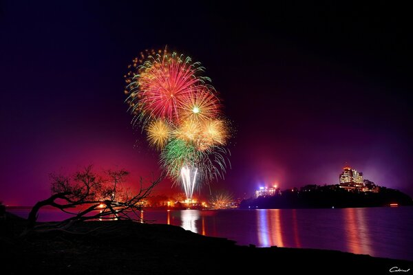 Fireworks in the night sky on the background of the city