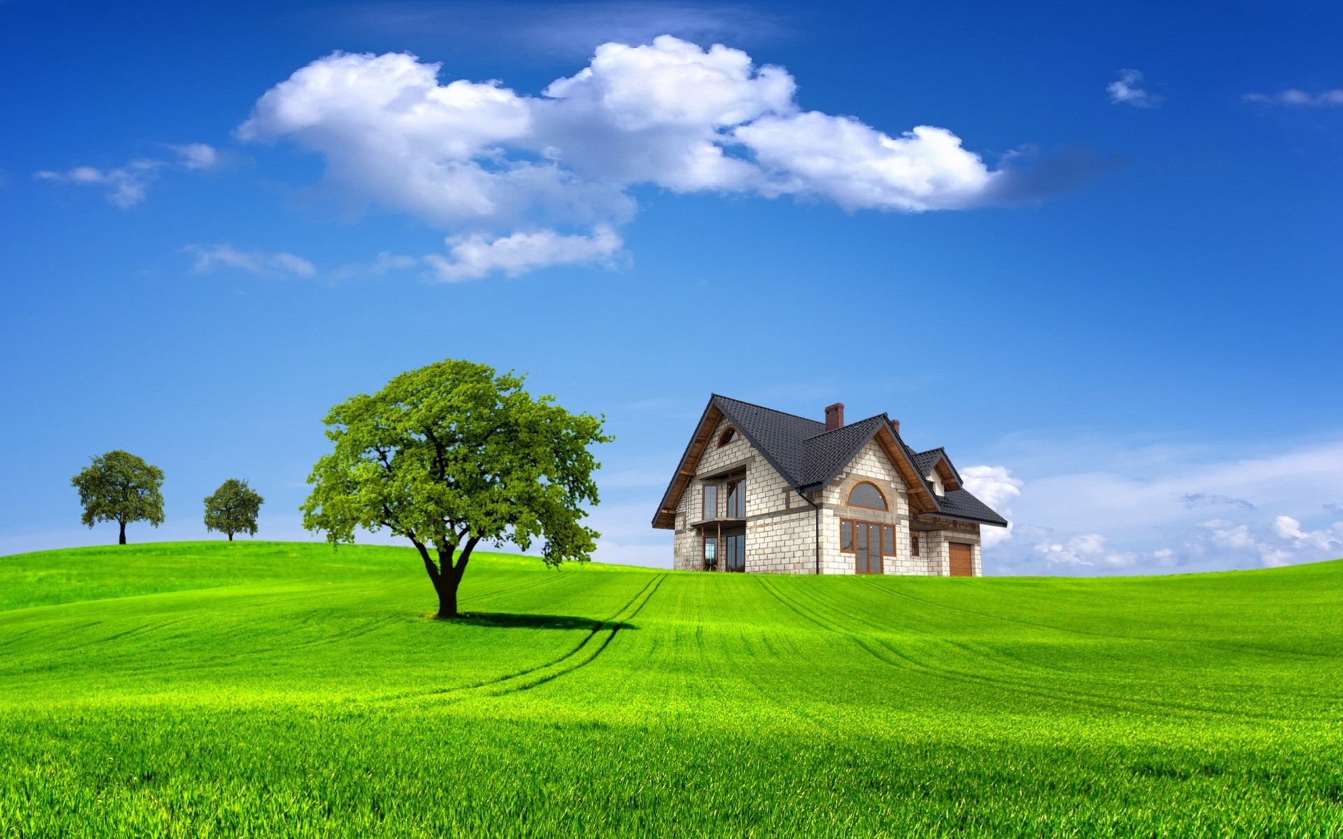 house houses nature tree field landscapes view summer