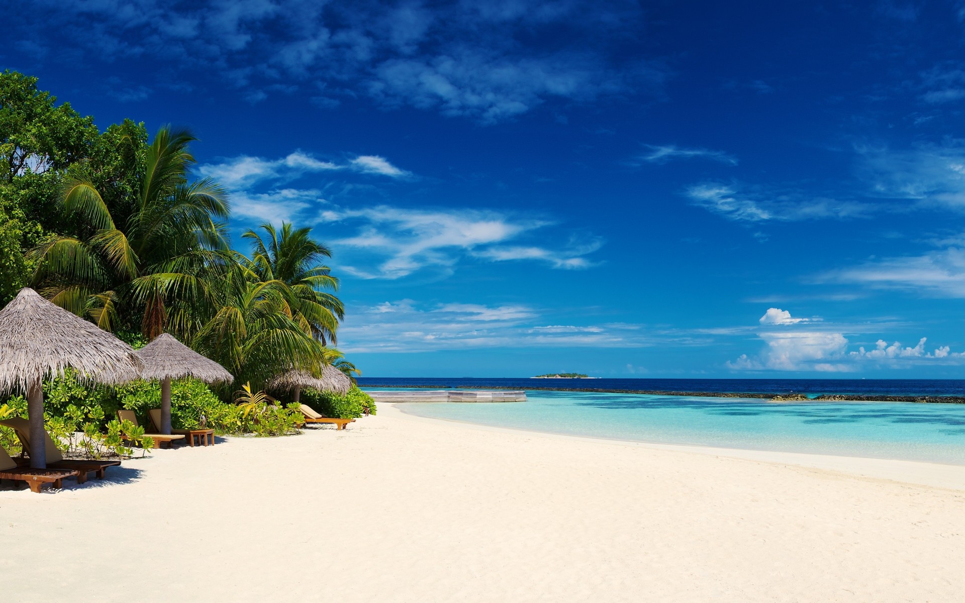 tropical plage paysage palmiers côte nature ciel paradis mer plages maldives