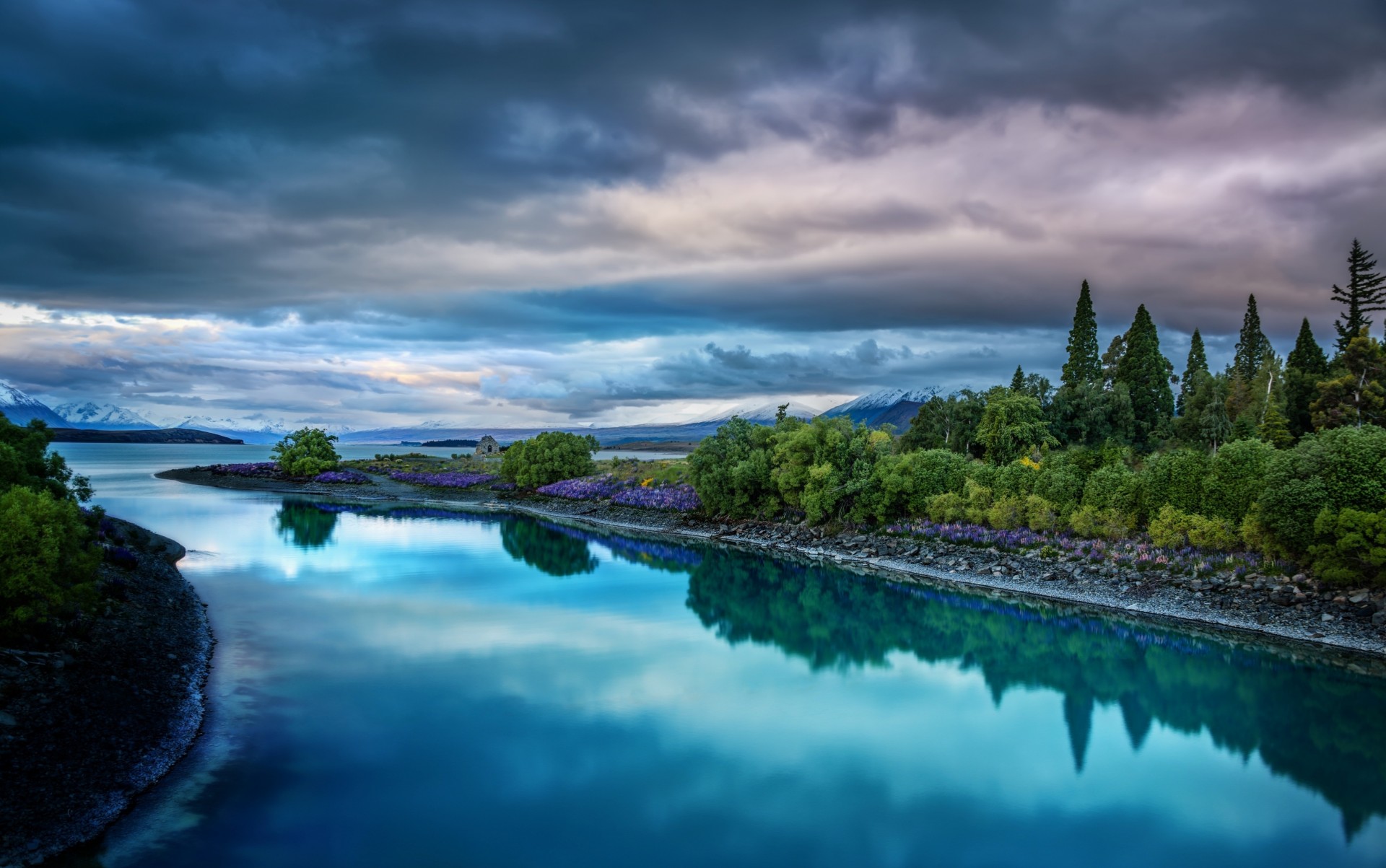 rivières paysages nature palmiers nuages nouvelle-zélande arbres