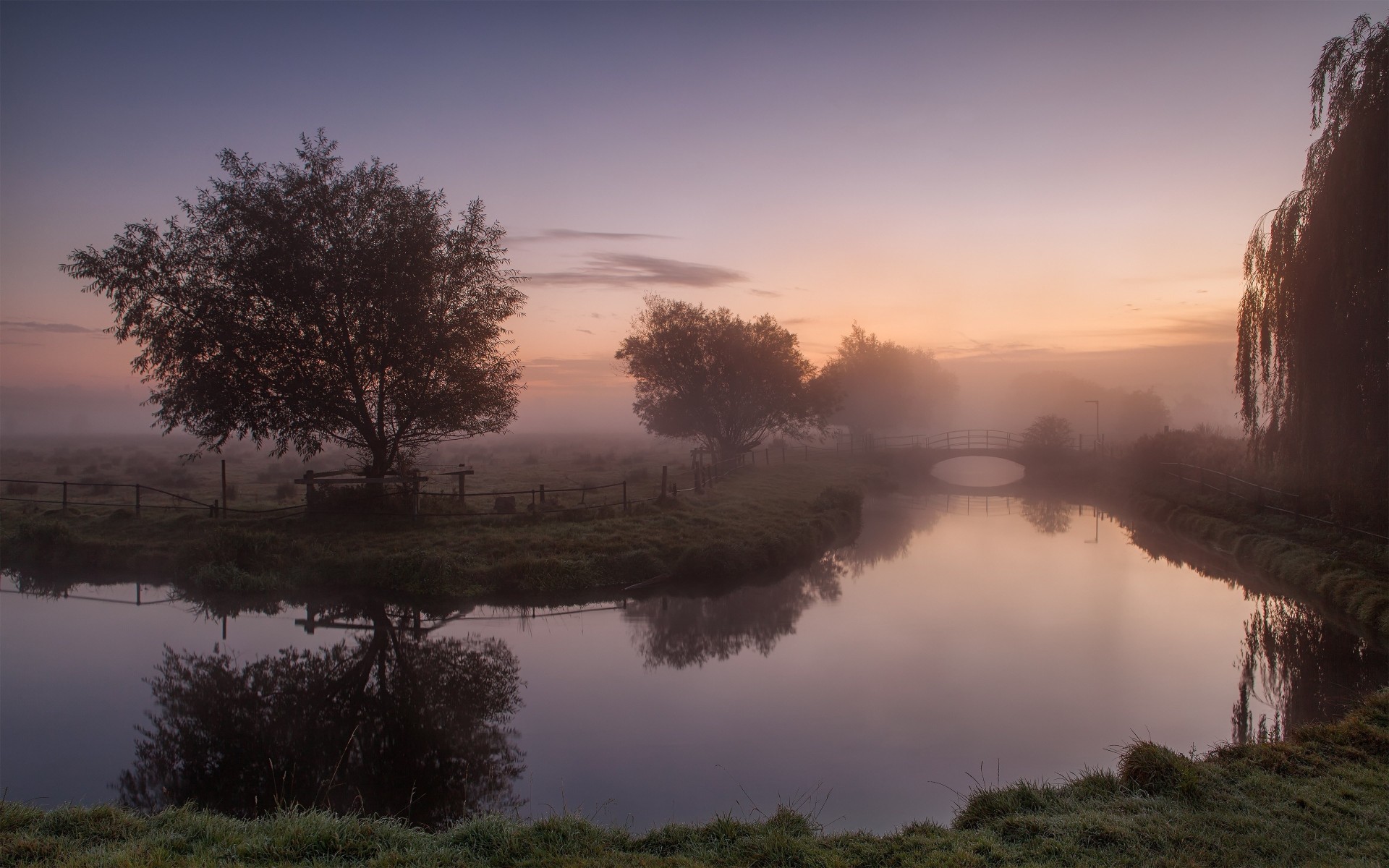 fog reflection nature tower tree reflections palm central park landscape river united kingdom