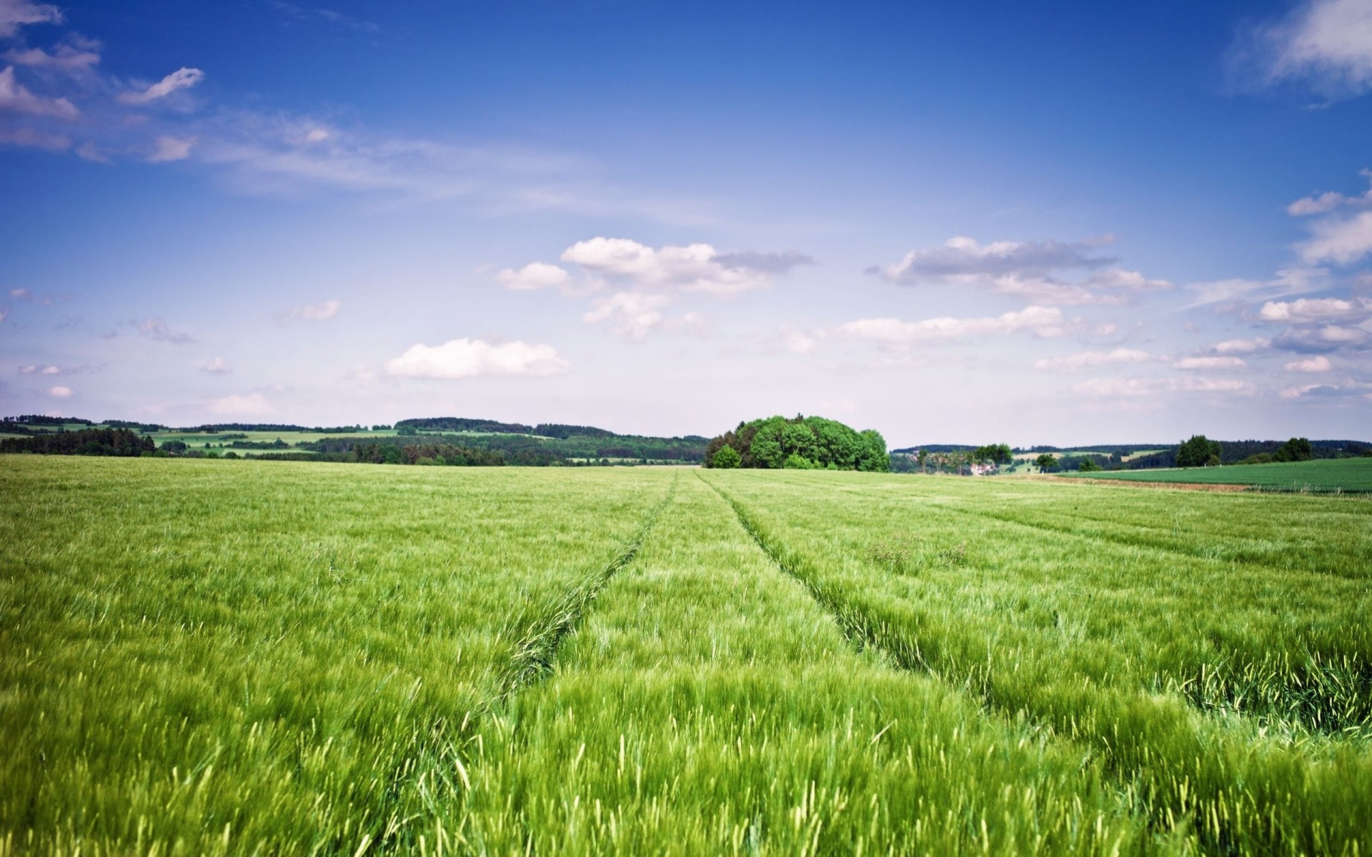 mig-15 panorama landschaft umrisse blauer himmel feld im sommer