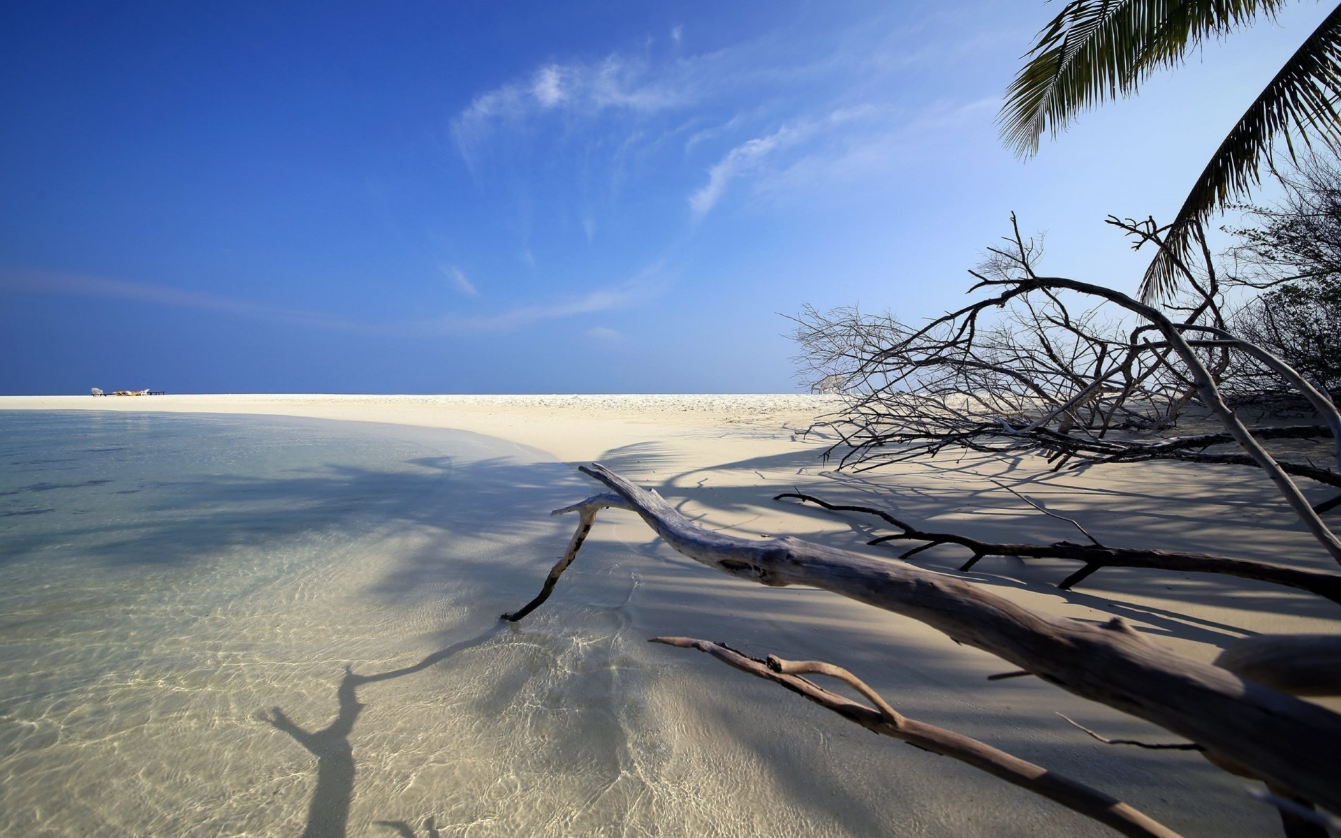 sabbia tropicale spiaggia contorno acqua oceano