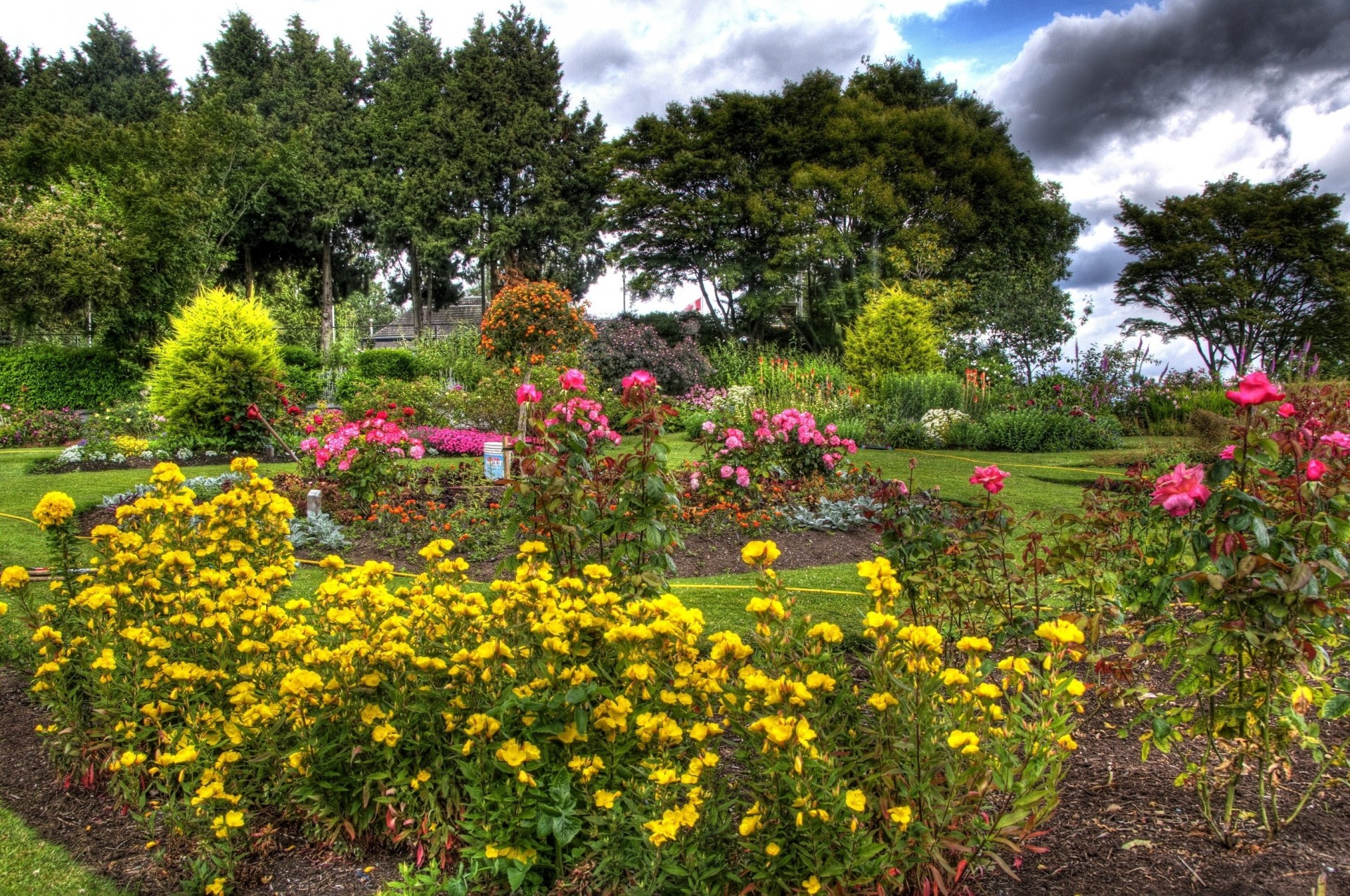 árboles amarillo flores rosas jardín