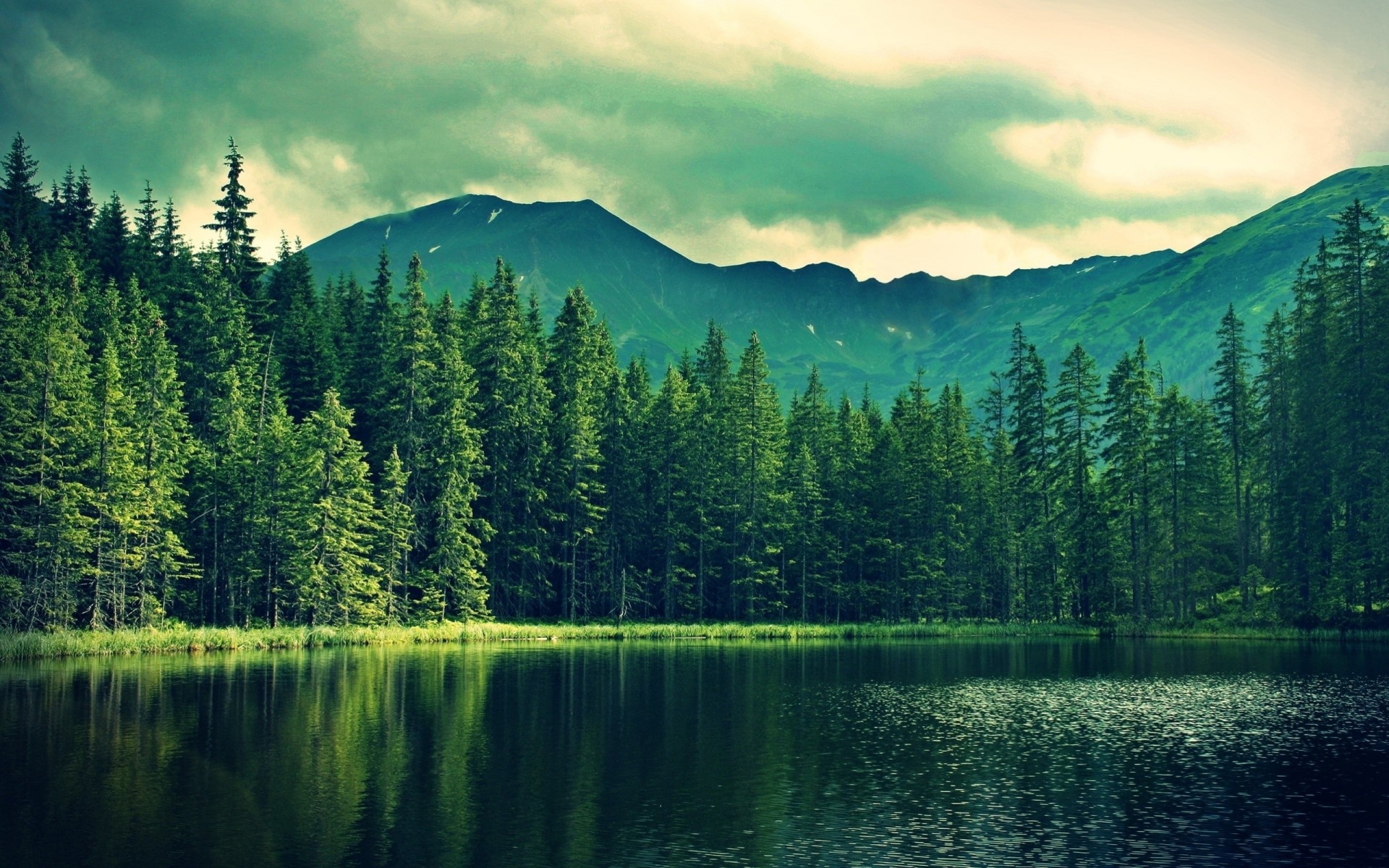 cielo bosques naturaleza montañas lagos árboles palmeras agua bosque ríos nubes