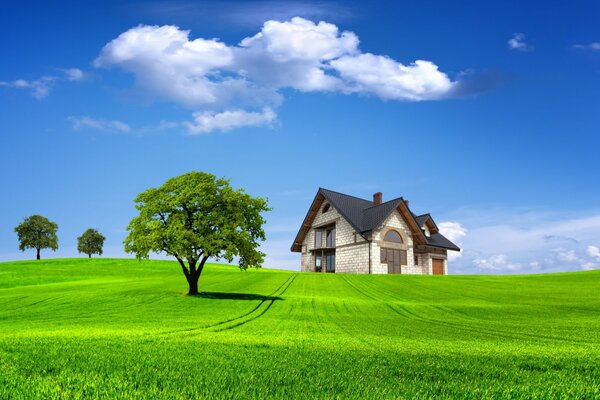 Maison sur fond de champ vert et ciel bleu