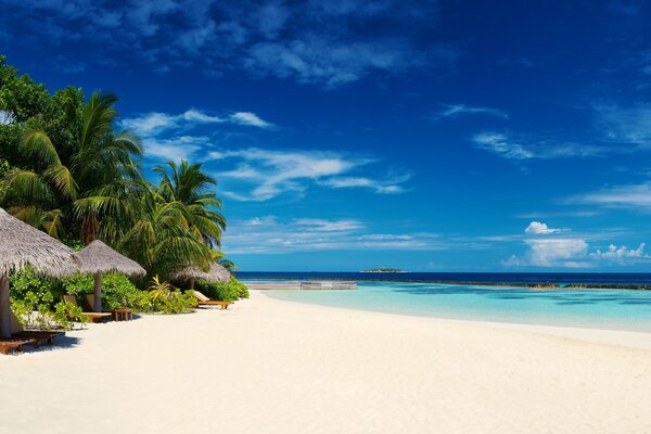 Paisaje de playa tropical en Maldivas con palmeras