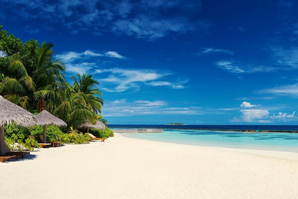 Paesaggio di spiaggia tropicale alle Maldive con palme