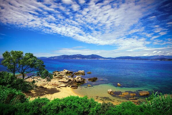 Cielo azul sobre la belleza de la costa