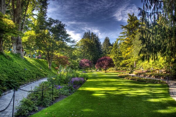 Maravilloso Jardín con césped verde