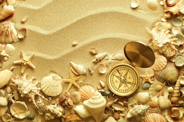 Summer creativity on the sand of shells