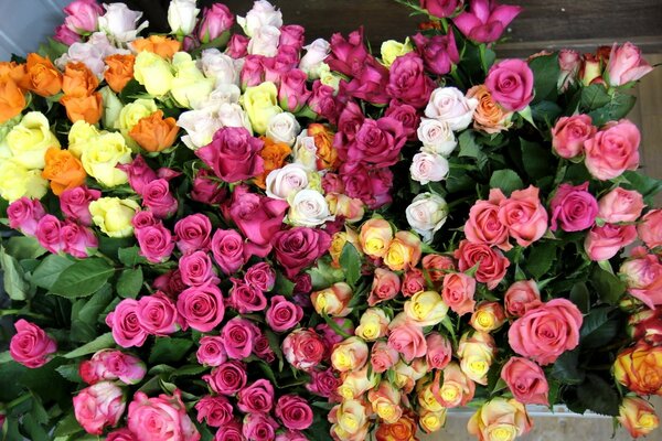 Die Schönheit der mehrfarbigen Rosen, Blumensträuße