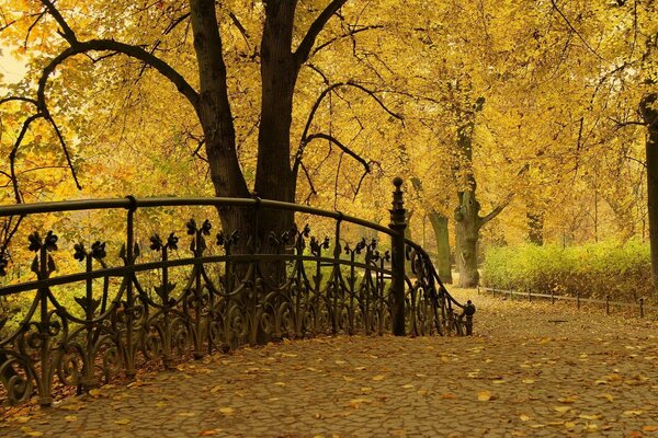 Automne doré dans la valse du feuillage