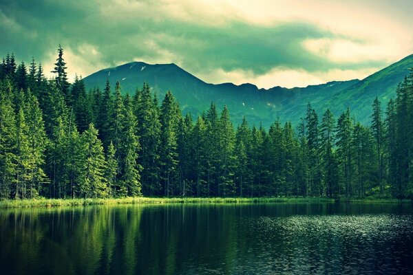 Bergsee vor dem Hintergrund der hohen Berge