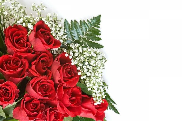 A gorgeous bouquet of red roses