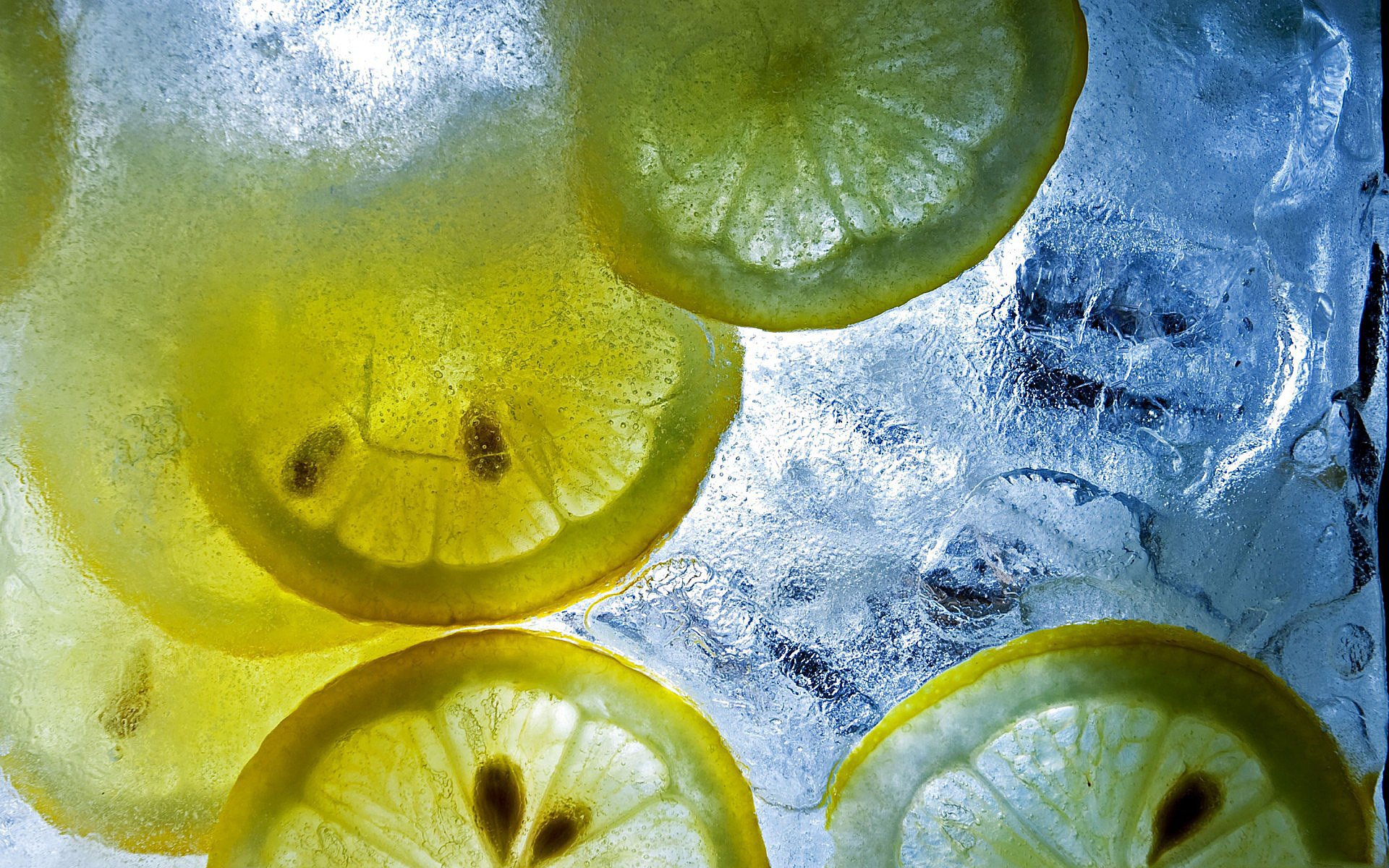 lemons ice citrus macro piece